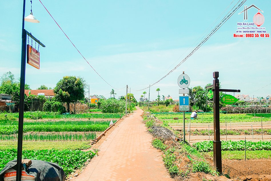 Bán đất Làng rau Trà Quế – đầu tư xây dựng villa/ khách sạn.